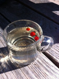 Glass of rosehip tea.