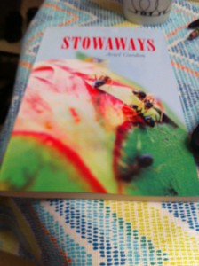 Stowaways by Ariel Gordon